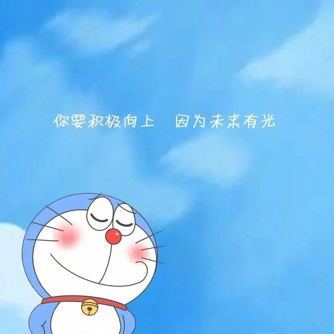 闽C.大坏蛋