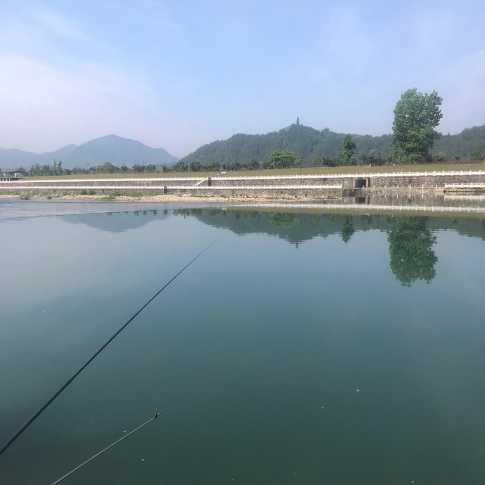 精神抖擞