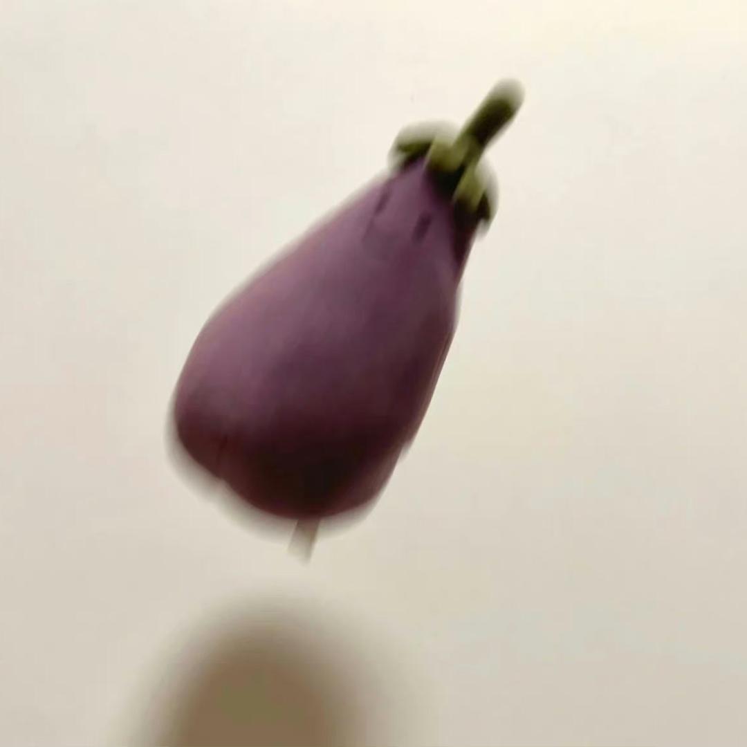 臭茄子