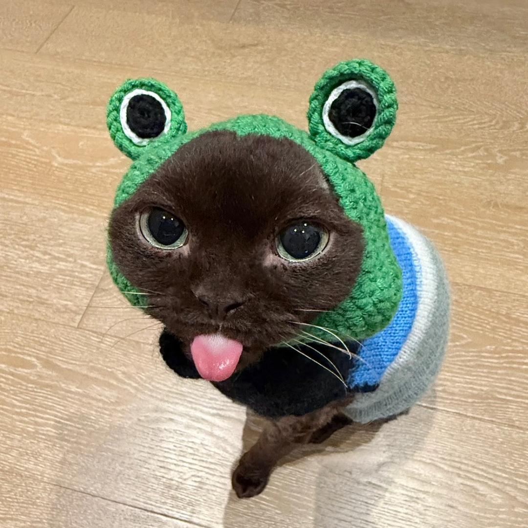 SarahYan