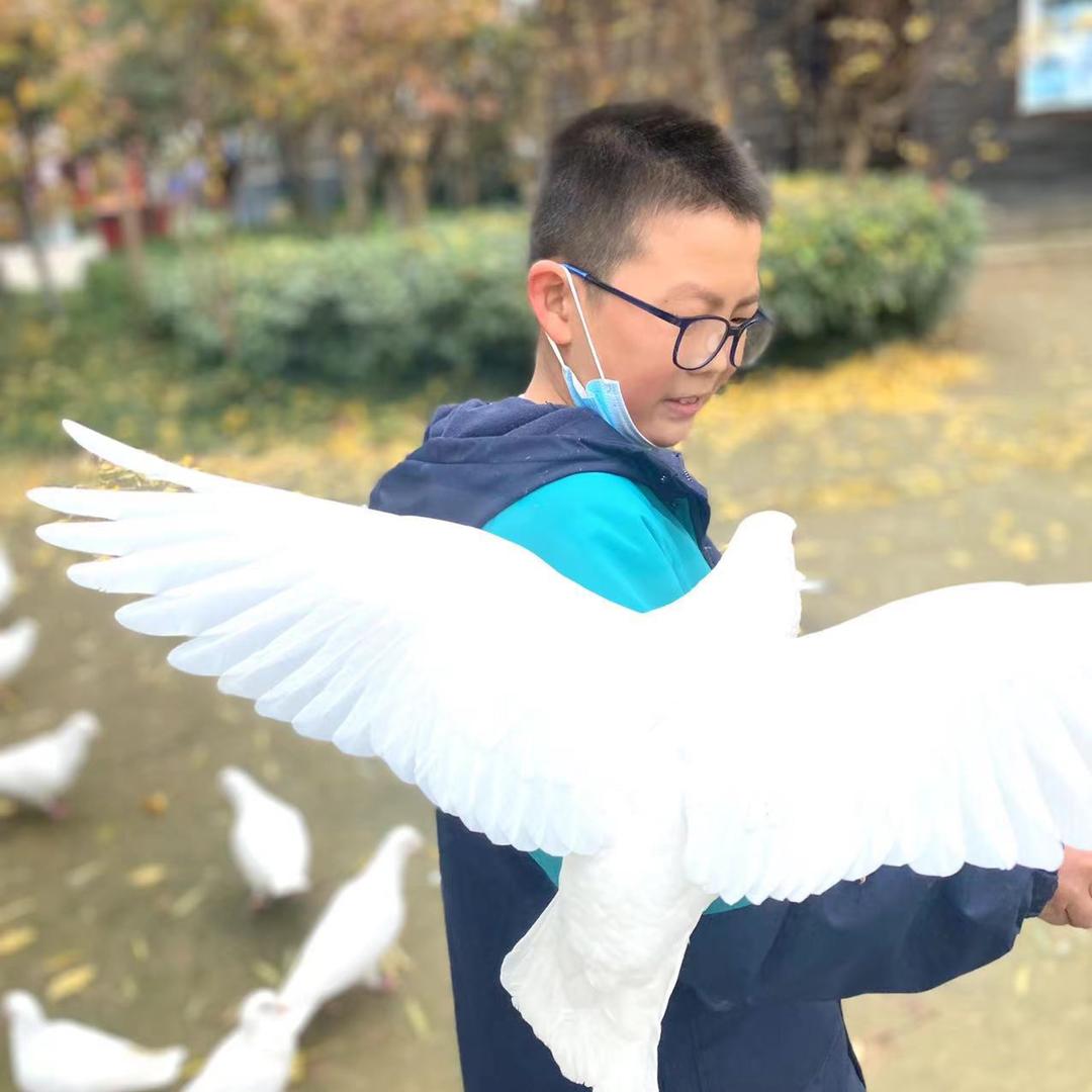 @荣嬷嬷