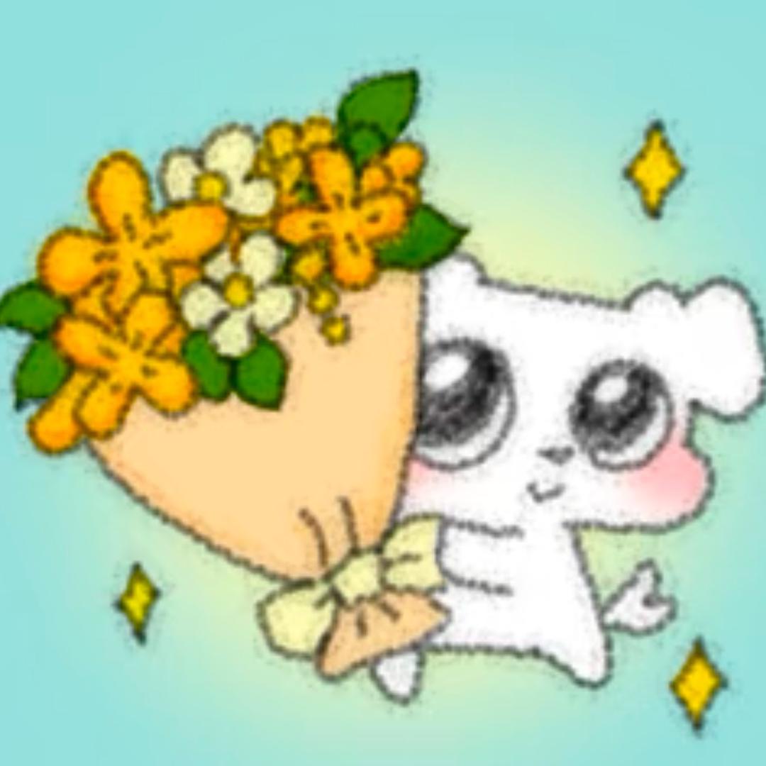 xxio