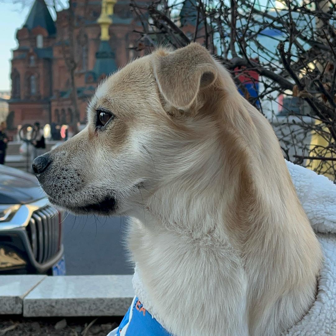 好货都搁这儿呢！