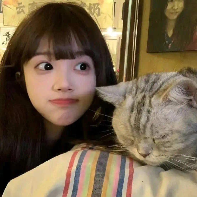 懒洋洋.