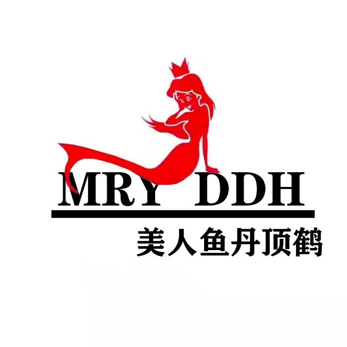 美人鱼丹顶鹤Meirendandinge