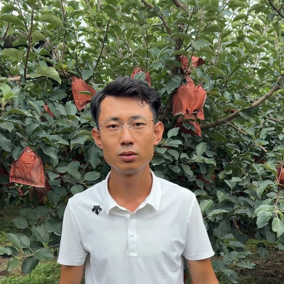 李群管理苹果真有道