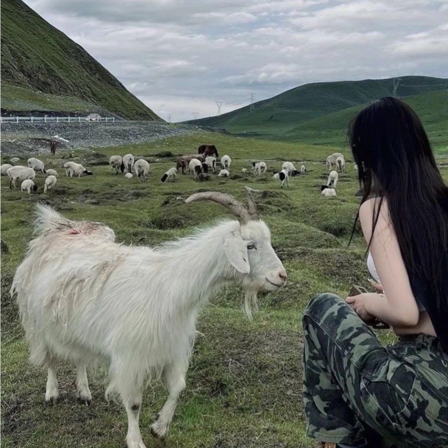 关你什么柿.🍅