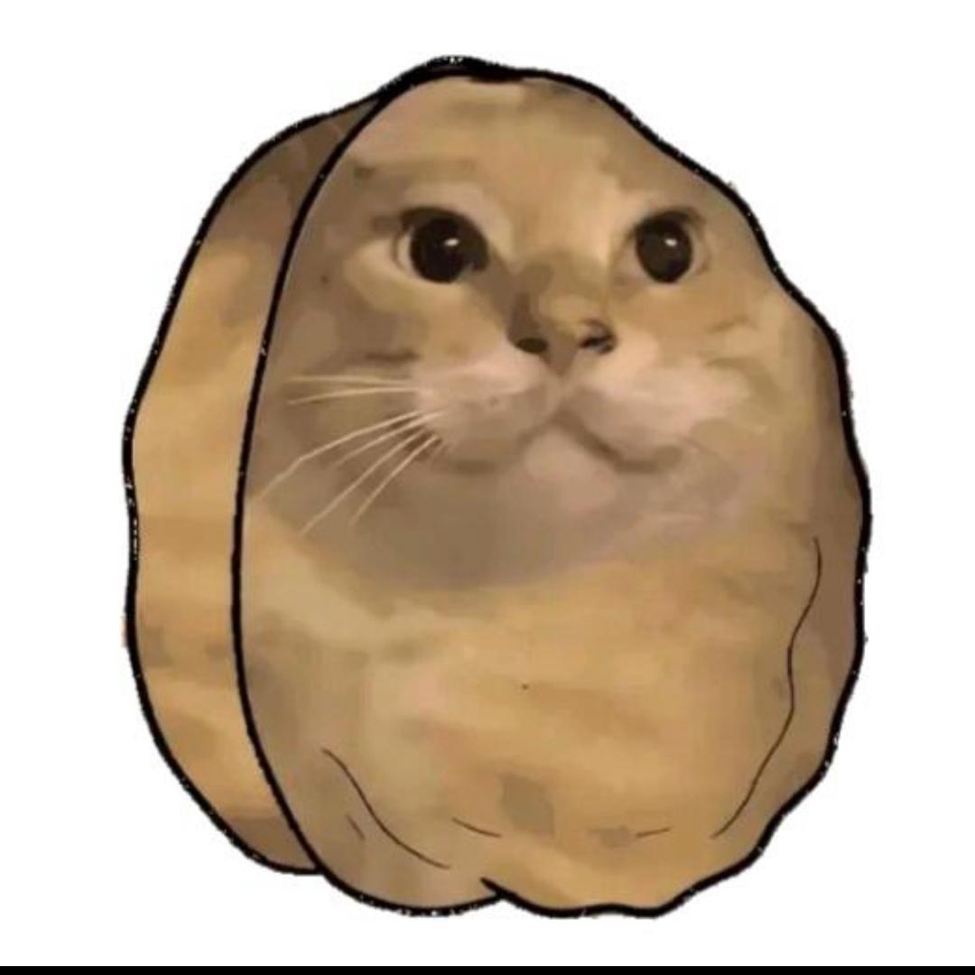 南辰^
