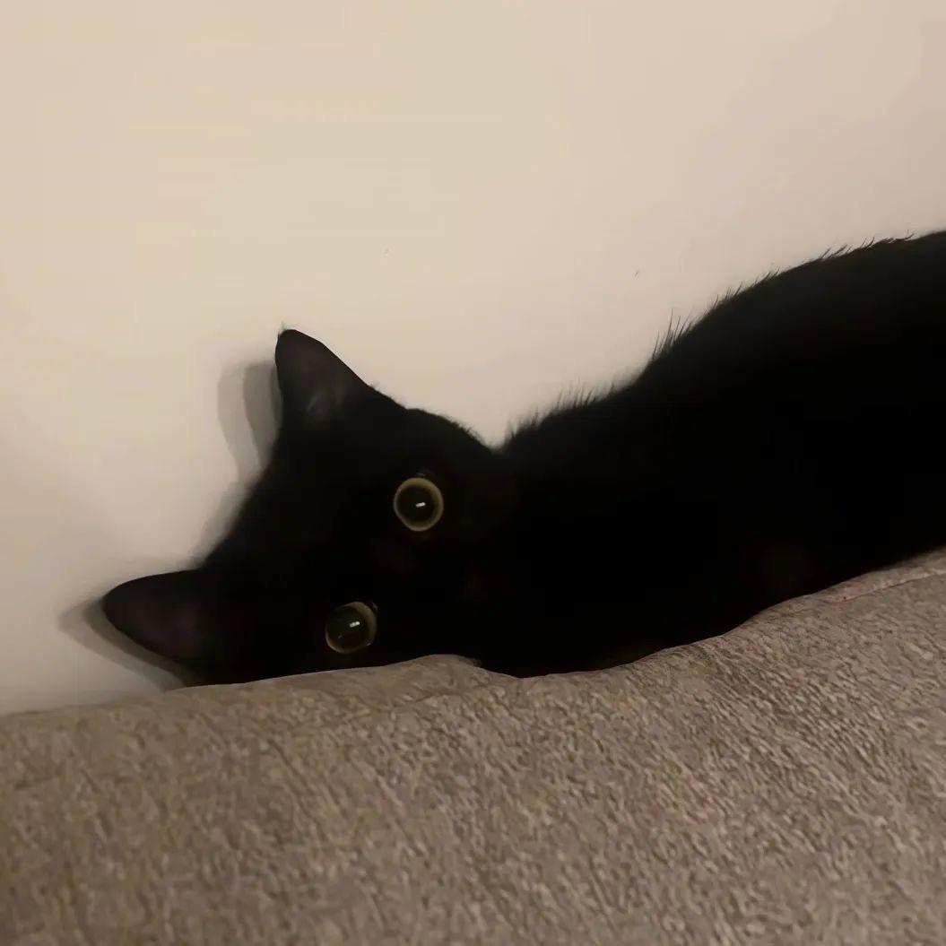 🌈🌈Kk☁️☁️