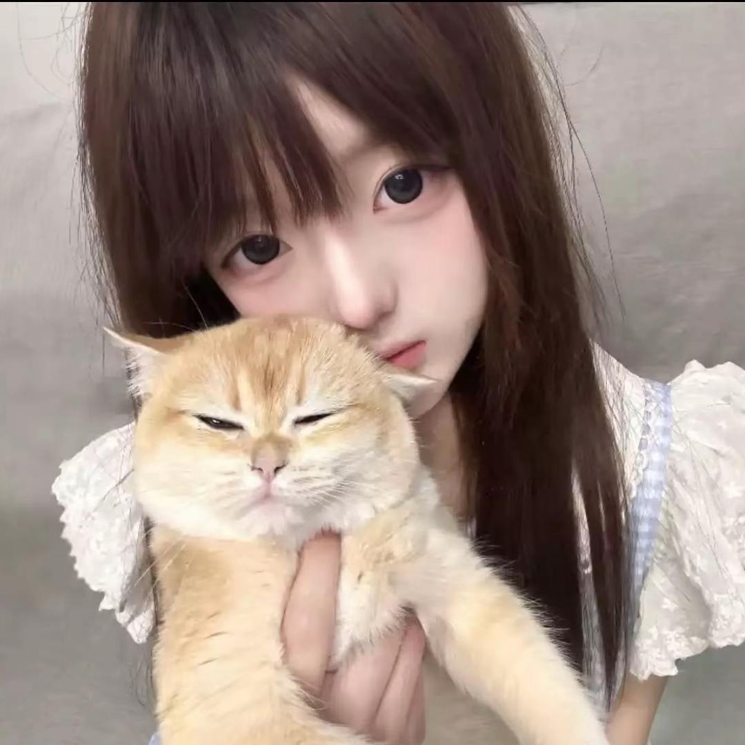 小狗挖宝记