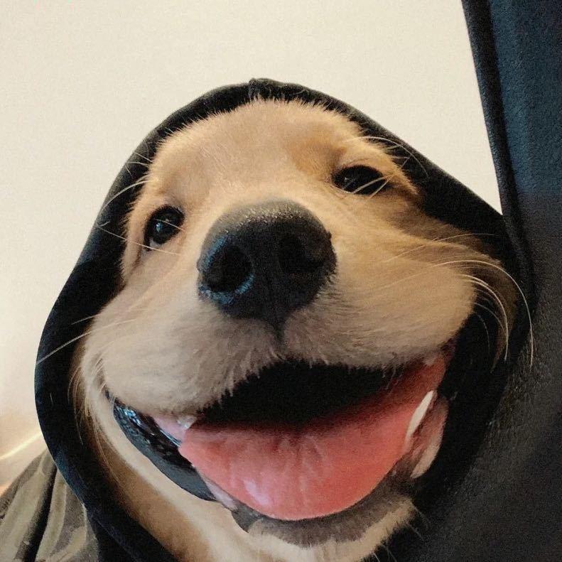 Gru