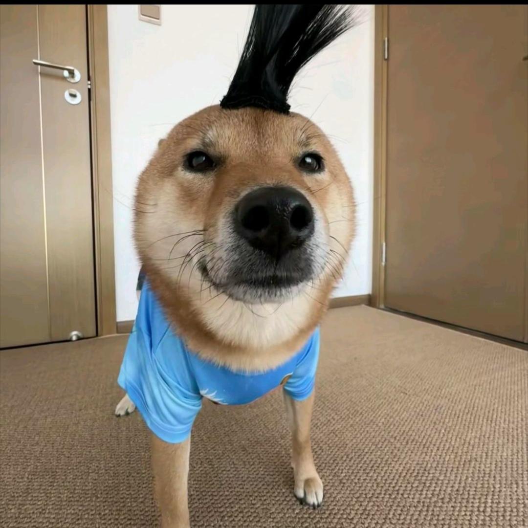男魁