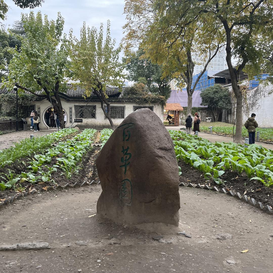 陕西新中旅（阿博）