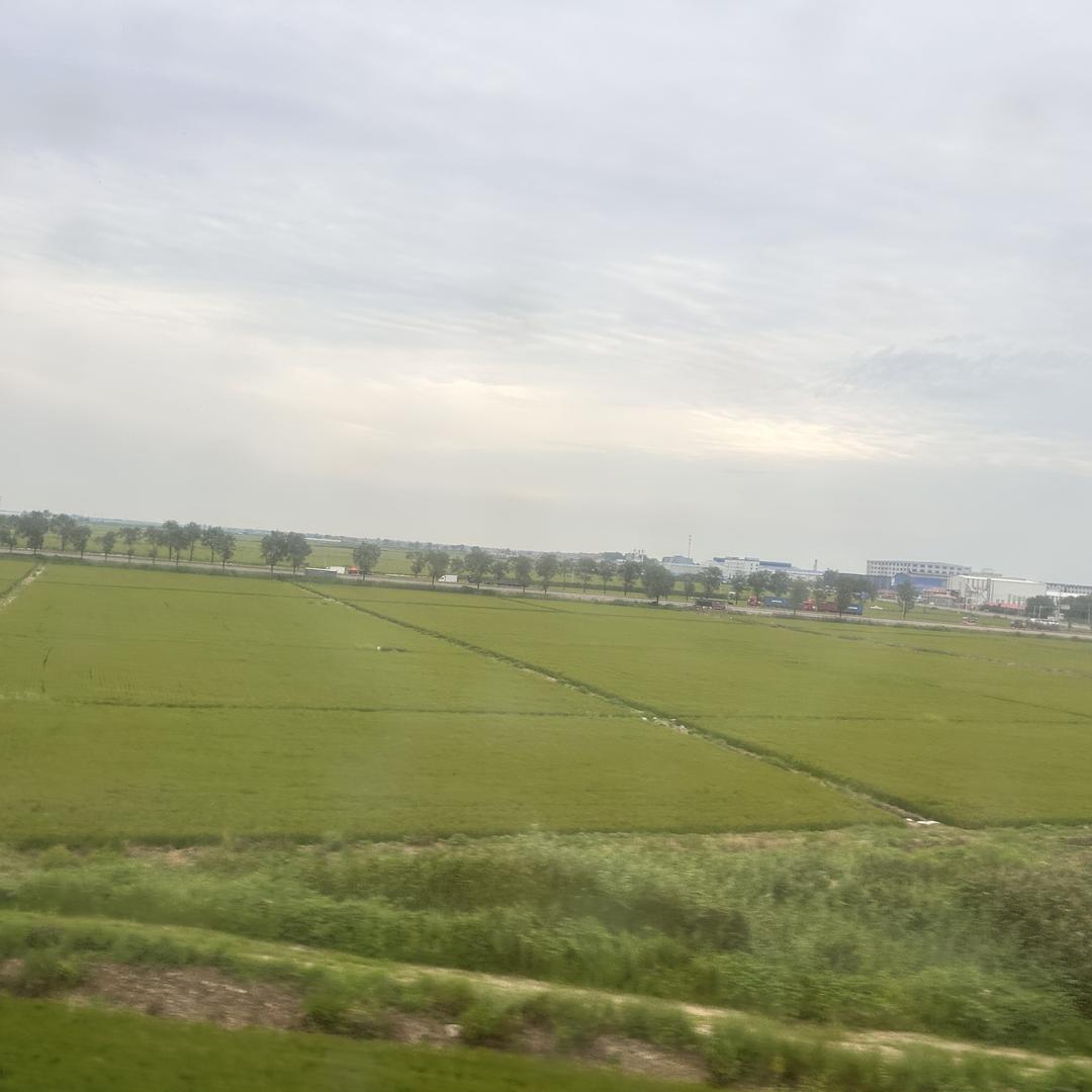 鑫福源食品粮油精选