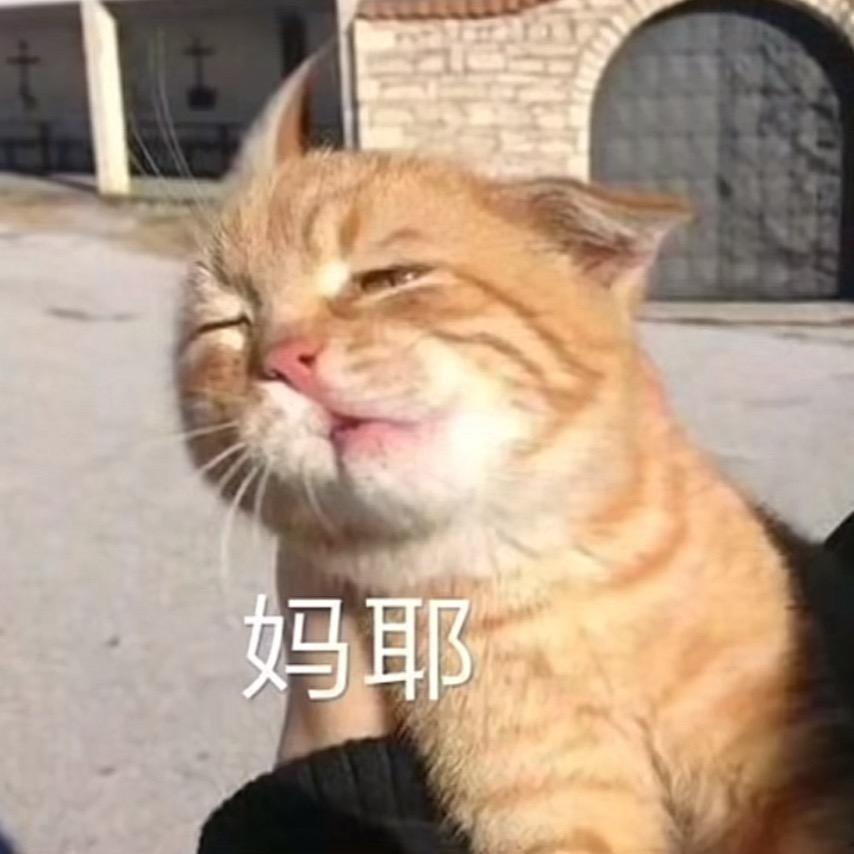 淼淼(小初五亲娘版)