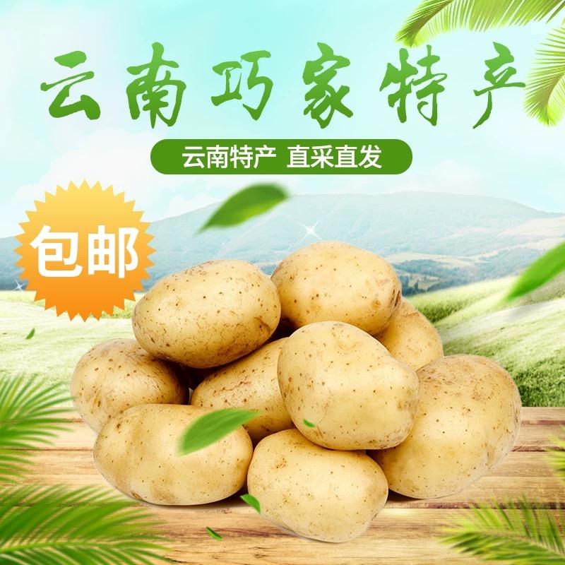 玮总臻选