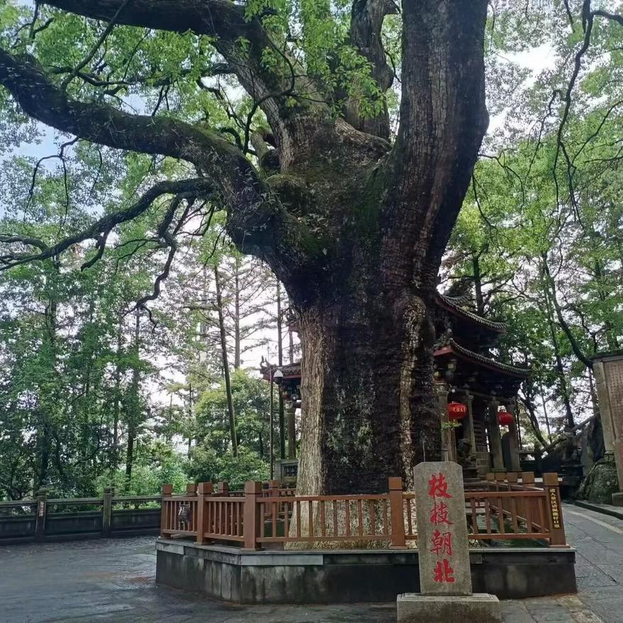 永赢百货
