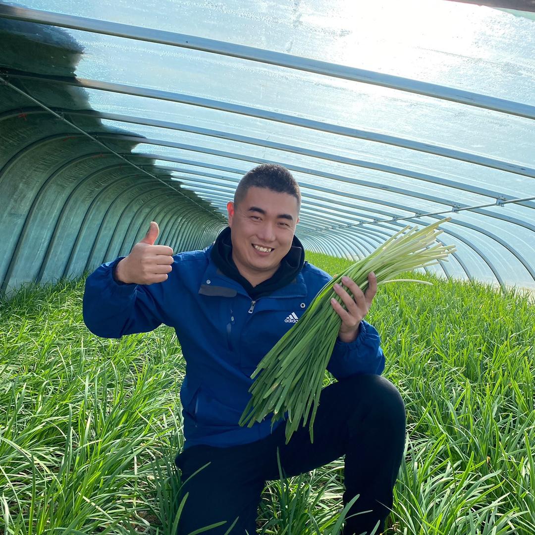 新鲜季（梨子尝鲜季）