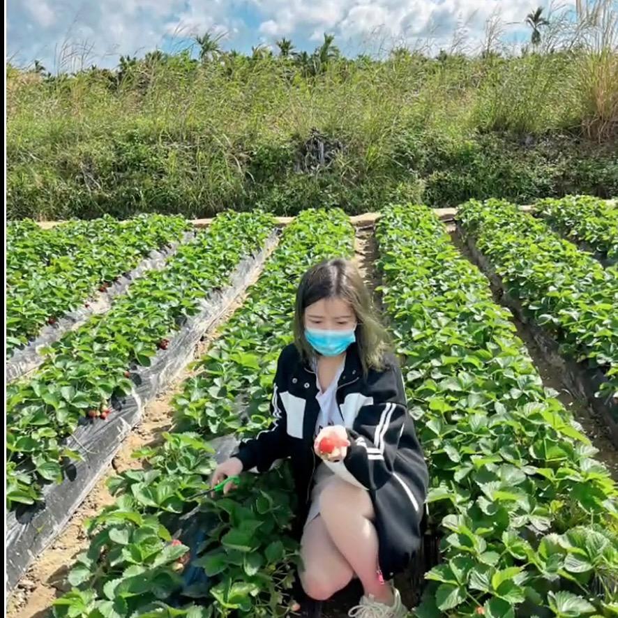 小崔🍉