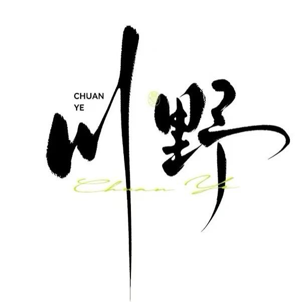 铜陵川野地摊烤肉（肉夹馍）