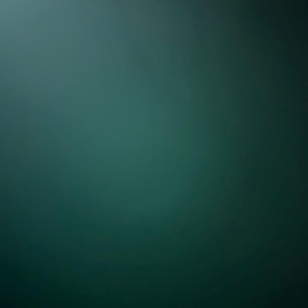 人性的恶