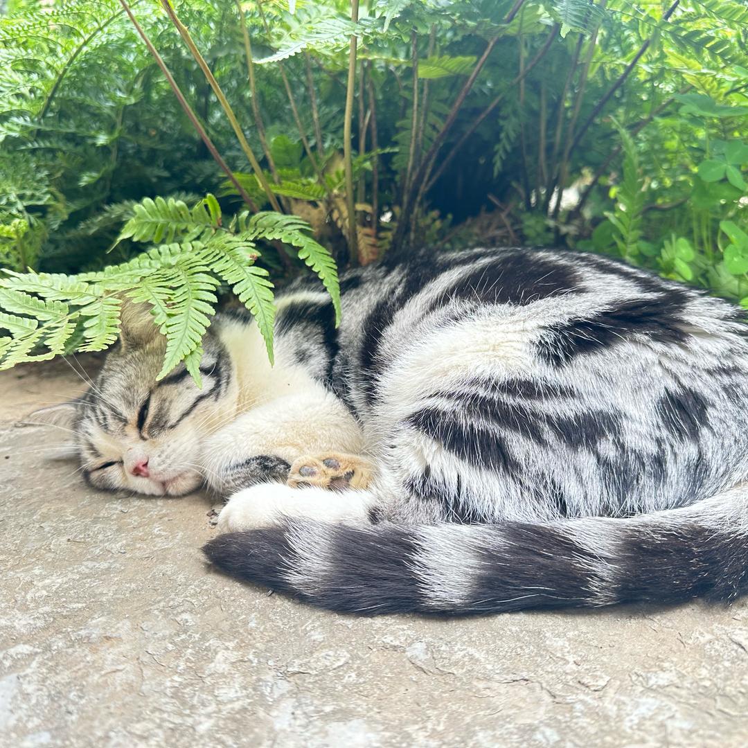 坤坤的美好生活