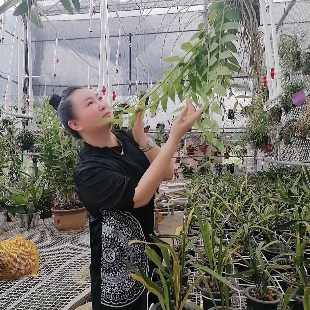 花仙谷私家园林（设计、施工）
