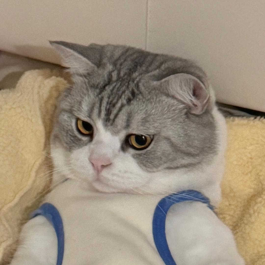 摆一阵儿没事的