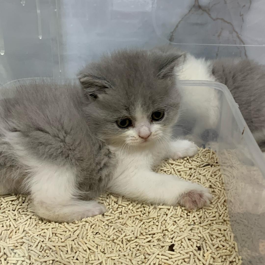 济宁鼎拓国际运营锦锦