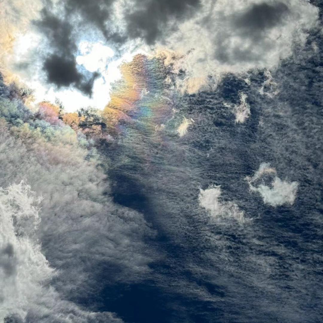 兔野