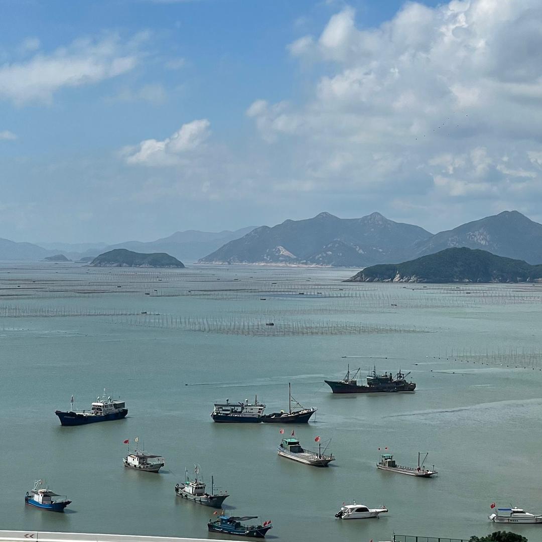 霞二爷水产霞浦海带