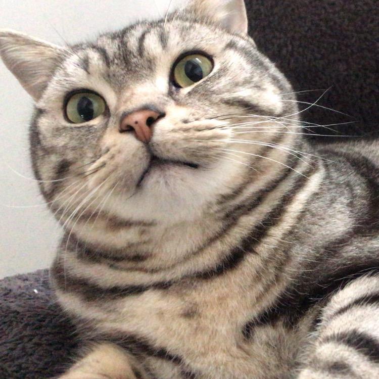 若木