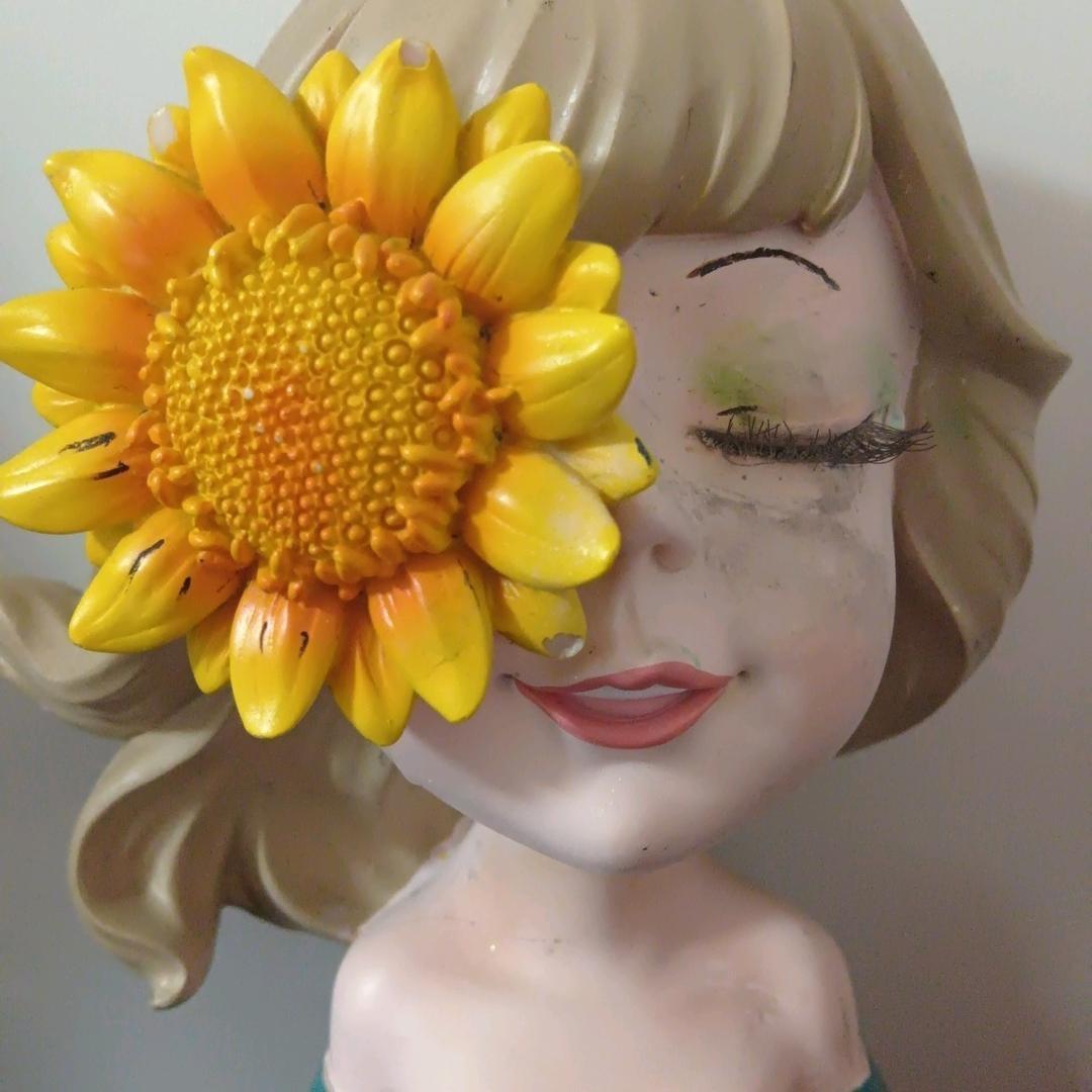 消防向日葵🌻张老师🎺小号