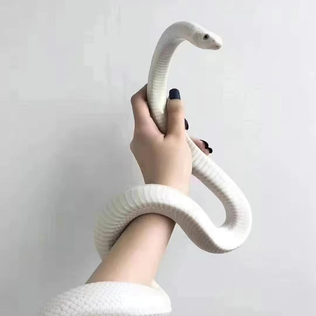 AN R