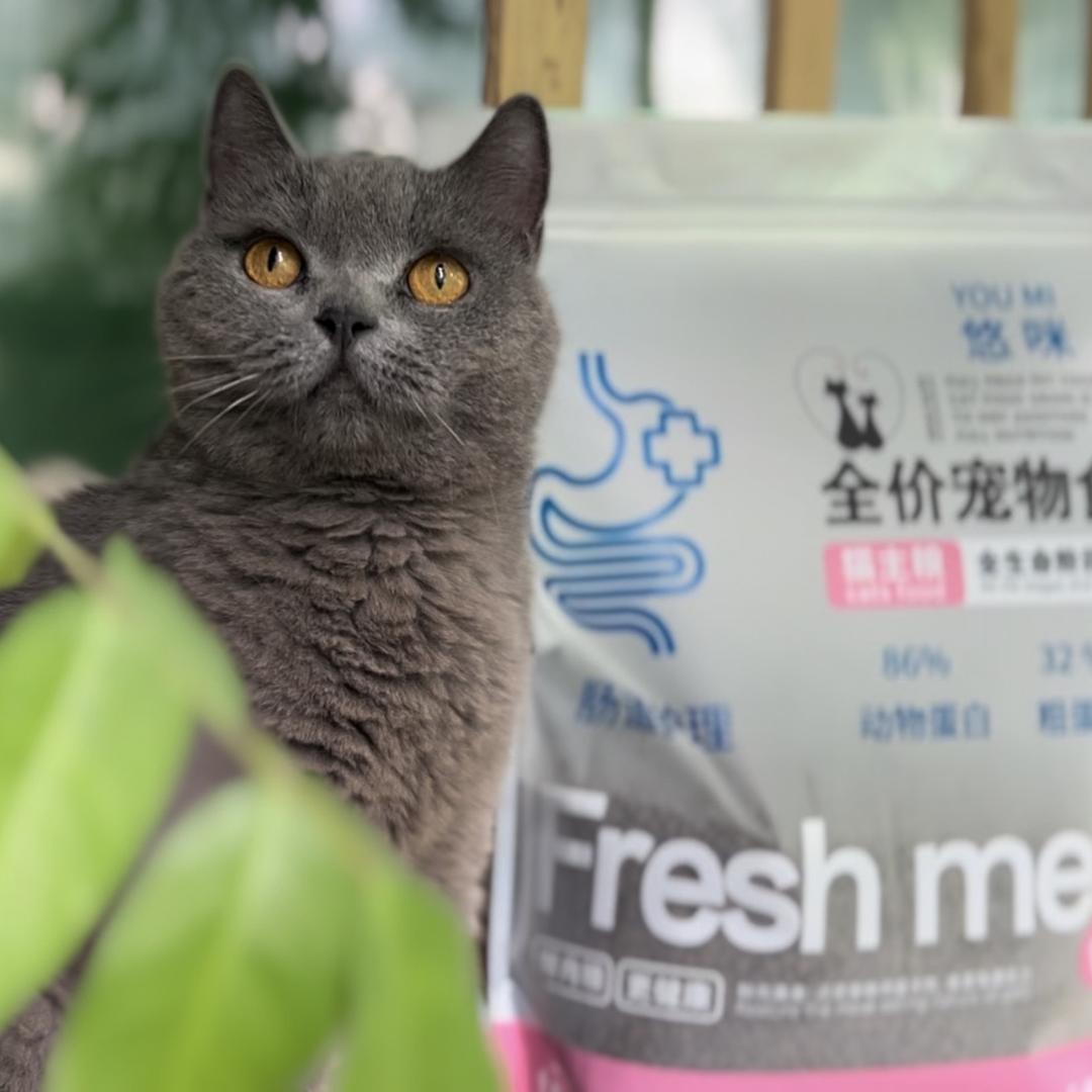 广州猫哥基地