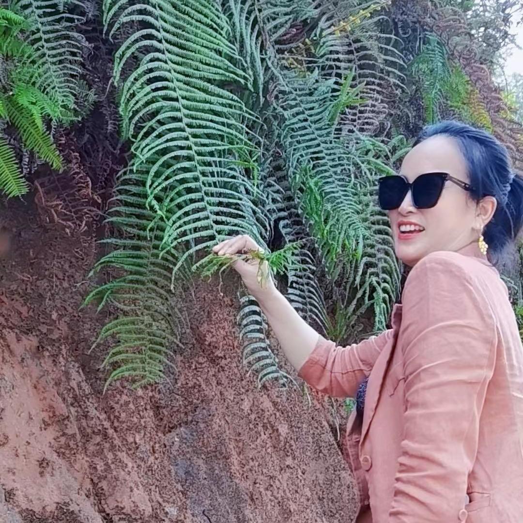 防水☔️晨夕意平