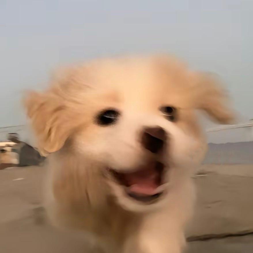 不说话时很安静.
