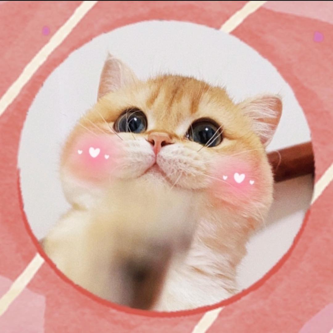 朵啦A梦🍡