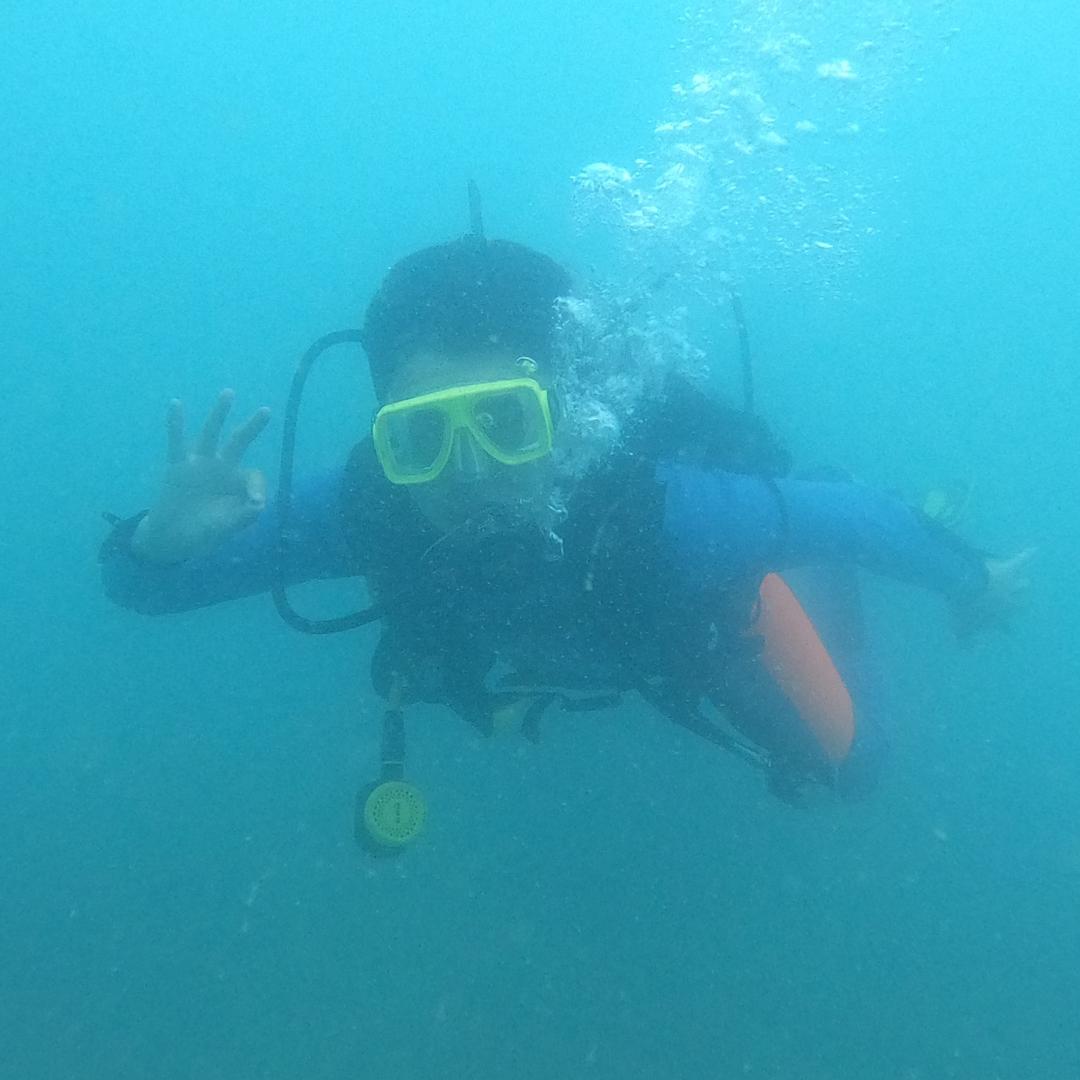 汉克的旅行