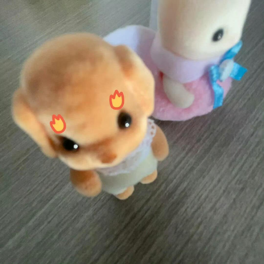 叫什么名