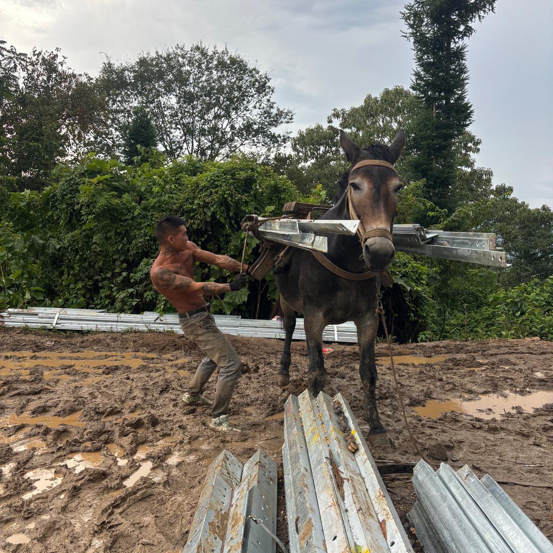 马队运输。     小姚
