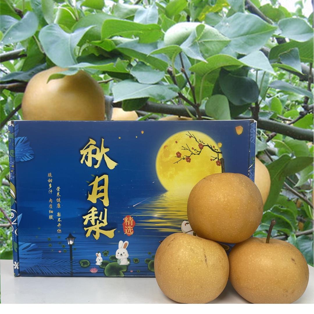 東哥优选