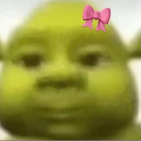 噪音菲