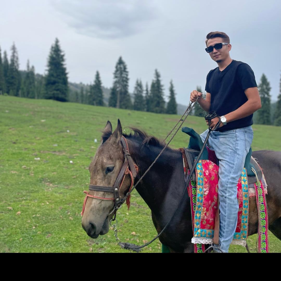 saifu-乌市房产经纪  🏠