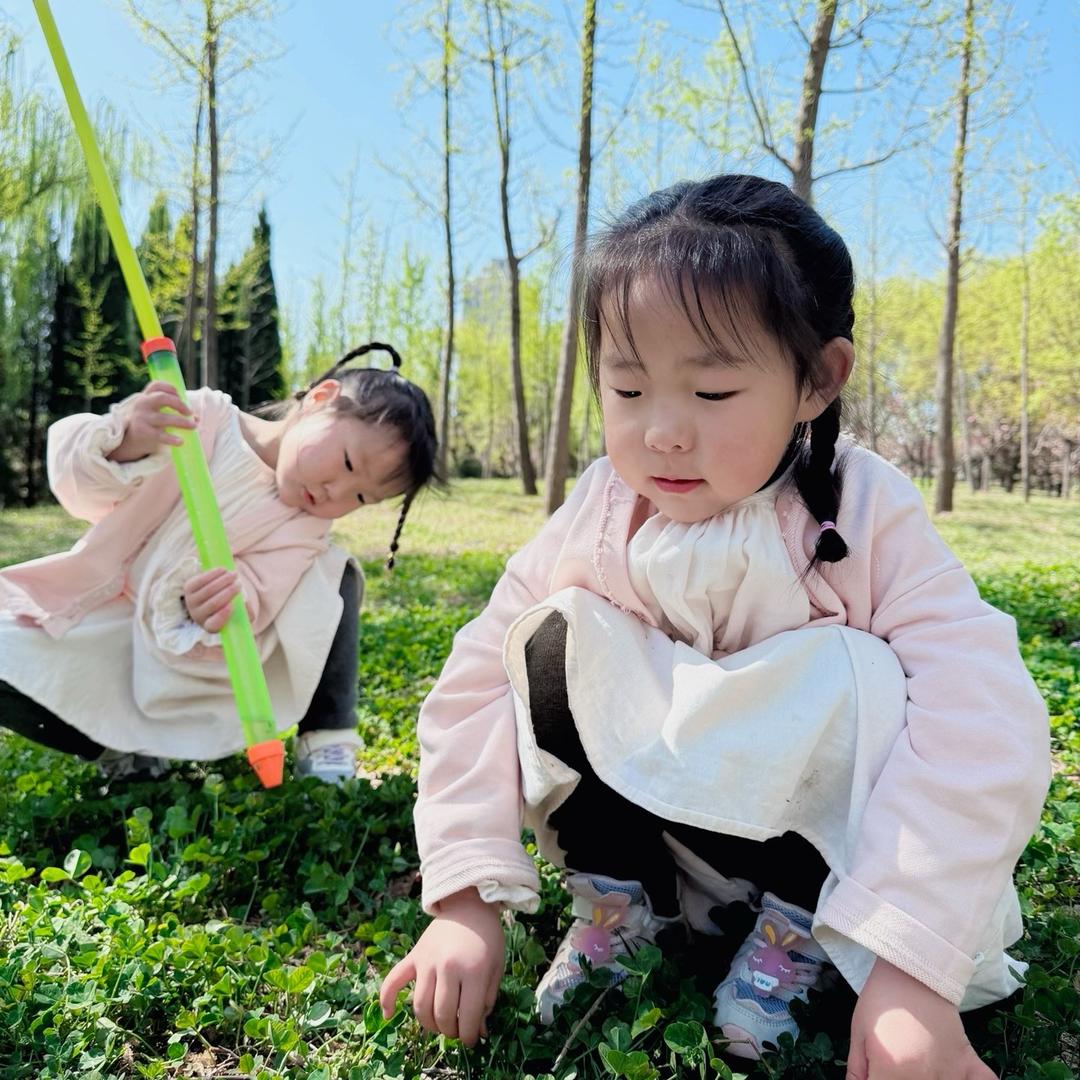 双胞胎南南北北