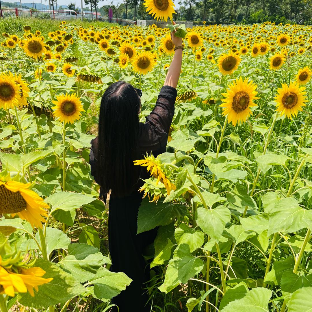 小香子🌸（凤凰鼓舞💃团）