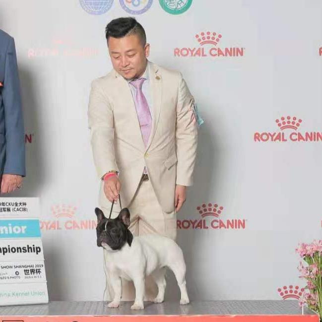 闪闪de法牛