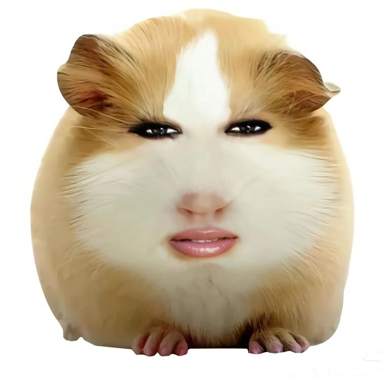 无能的土豆（卖娃娃版