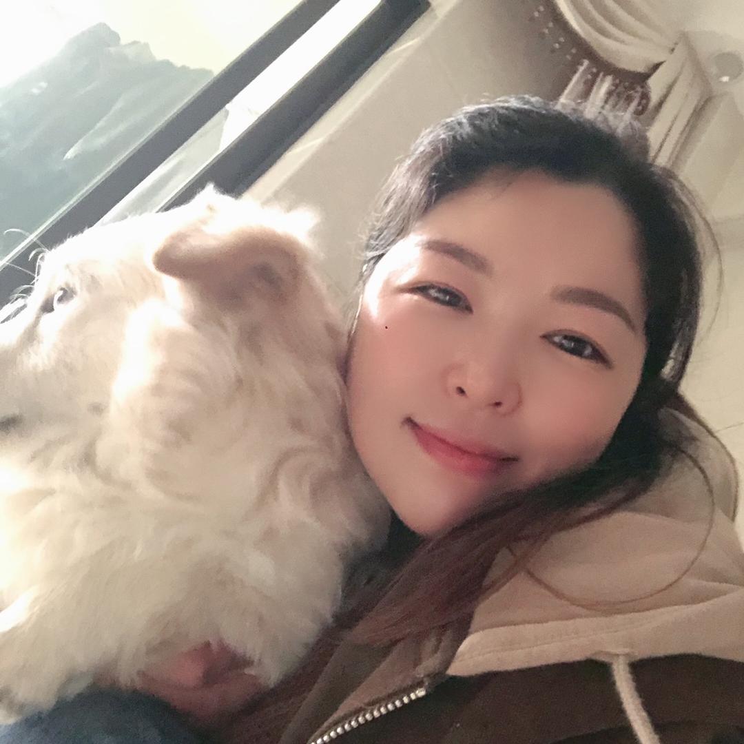 珠箔飘灯独自归