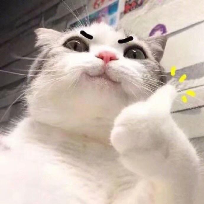 8.88